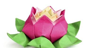 flor de lotu de origami