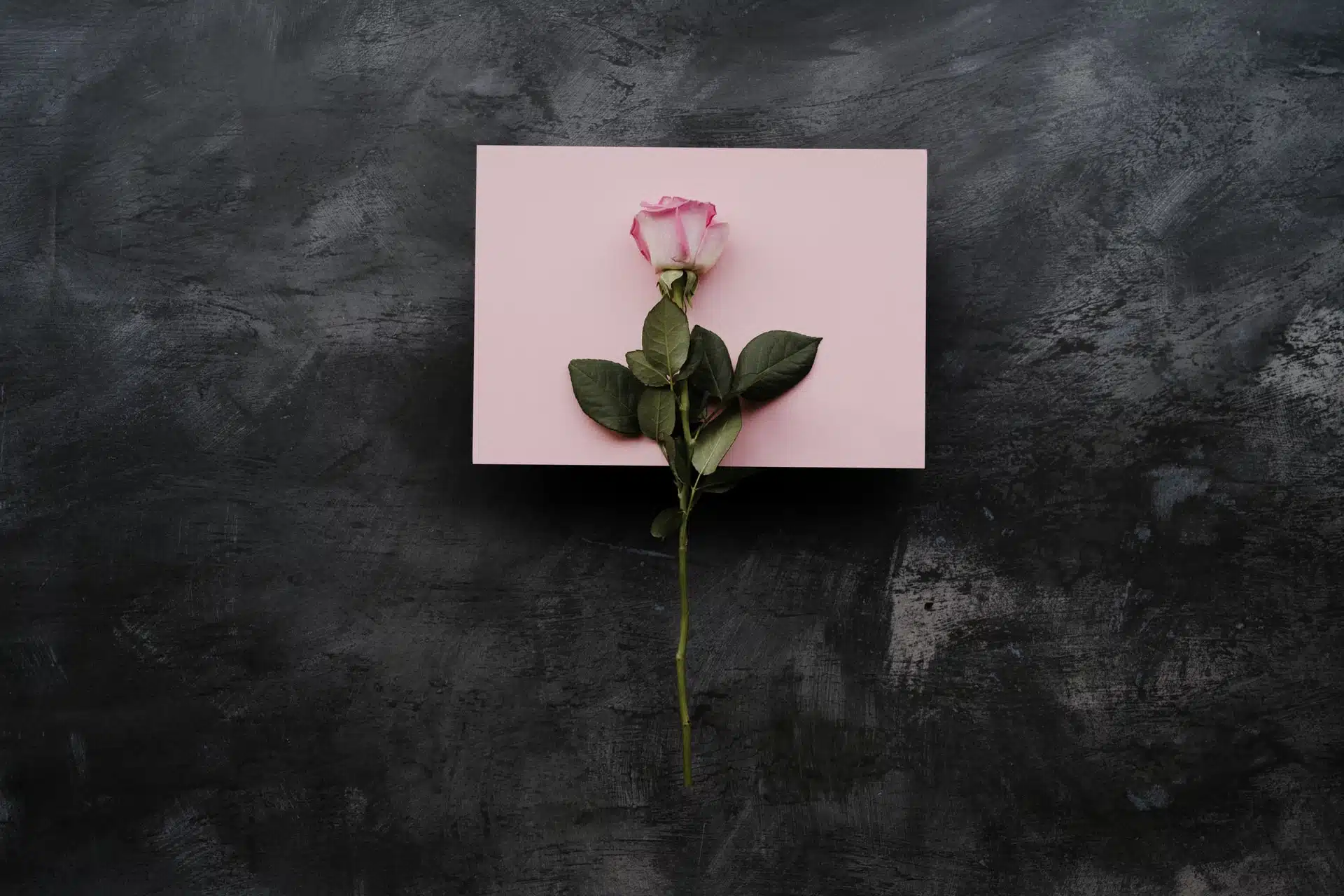 regalo para el dia de la madre