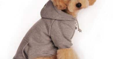 patrones de suéter de perro