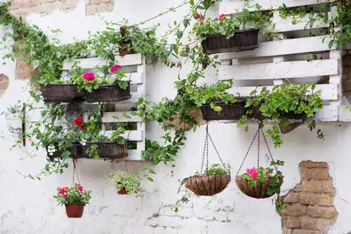jardín vertical