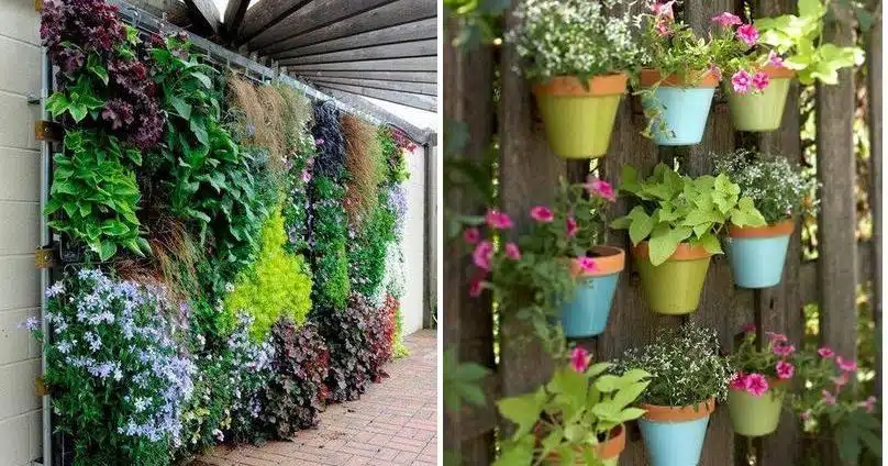 jardín vertical