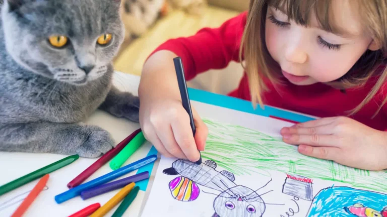 Cómo dibujar un gato: guía fácil paso a paso